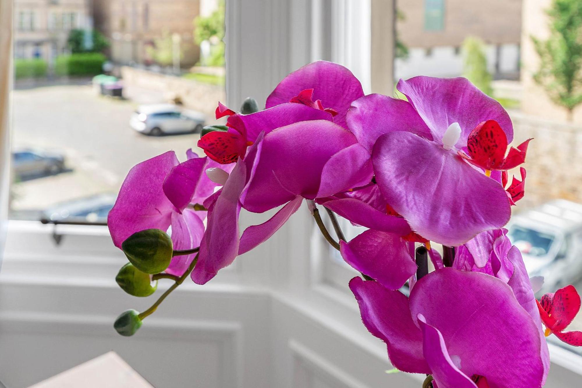 Marchmont Traditional Apartments Edinburgh Ngoại thất bức ảnh